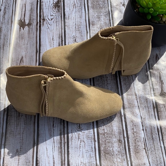 Maje - Picture 3 of 7